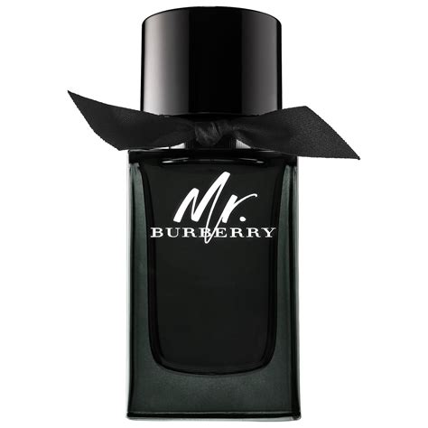 burberry mr burberry 50ml|burberry her perfume best price.